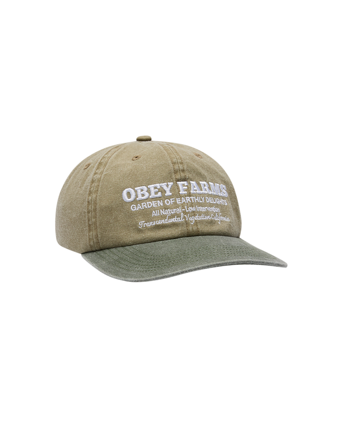 FARMS PIGMENT STRAPBACK